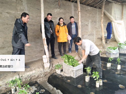 新疆农科院 民族团结一家亲 农技服务培训基地做科技传播者和农民贴心人